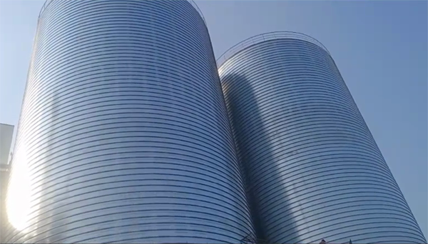 坡头镇2座混凝土高架卷板仓